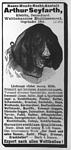 Seyfarth RasseHunde 1897 354.jpg